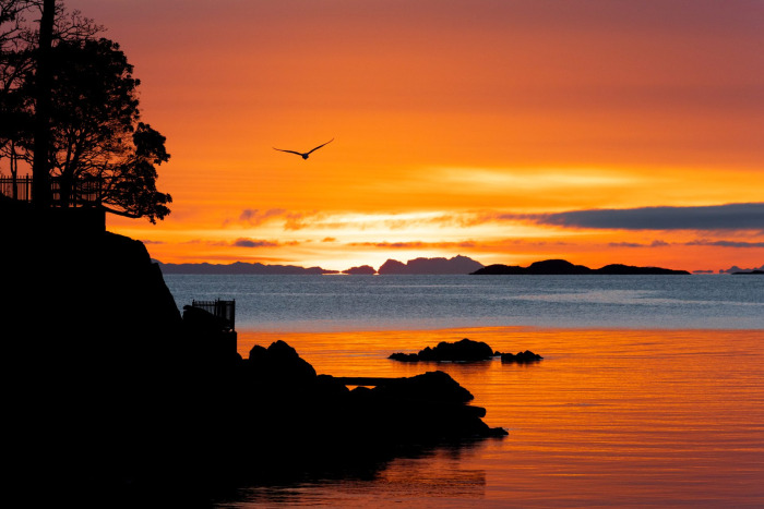Sunrise Flight at Neck Point