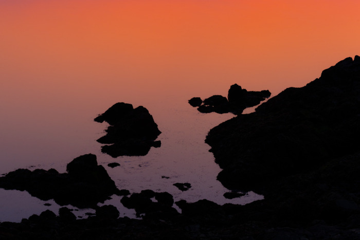 The Edge of Stillness