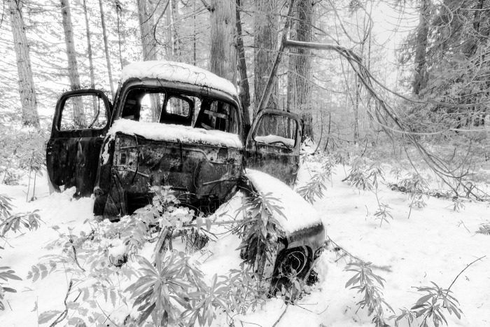 Frozen Abandon