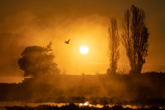 Misty Morning Fly-by
